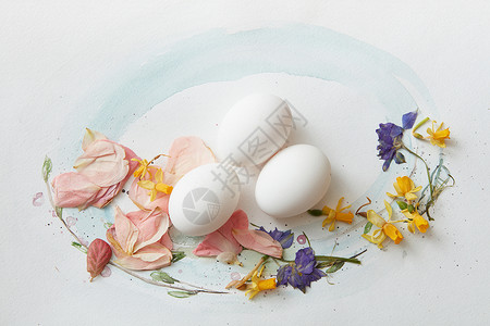 水彩画上的白色鸡蛋,叶子花纸上的白蛋背景图片