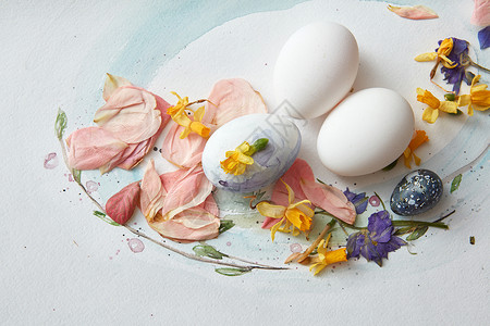 用干花纸上特写鸡蛋纸上的鸡蛋图片