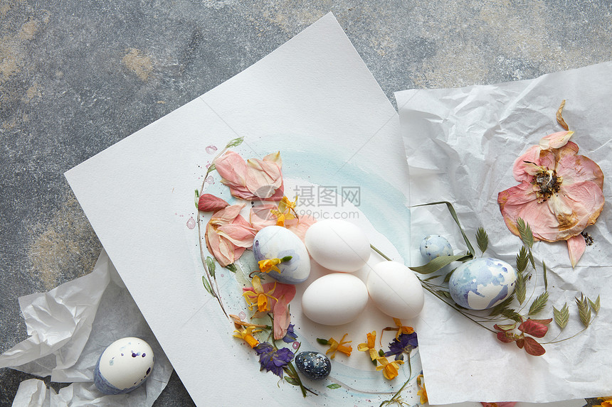 花水彩画与白色鸡蛋石头背景复活节彩蛋配花装饰图片