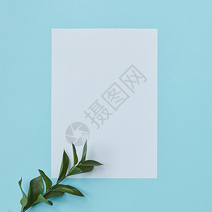 白色框架,蓝色背景上的角落个绿色的,文本平下明信片装饰的树枝图片
