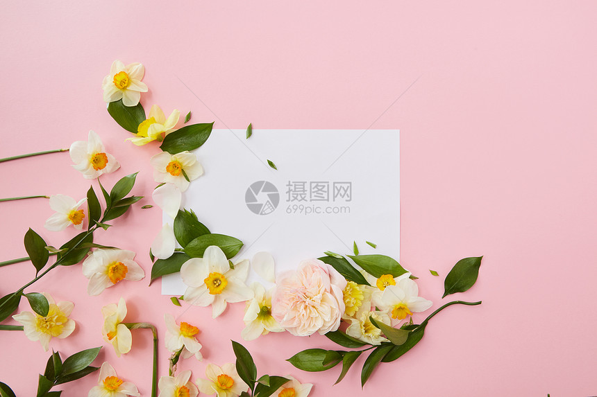 白色花卉的顶部视图装饰白色空白代表粉红色空白,用于注意想法情感等花覆盖空白图片