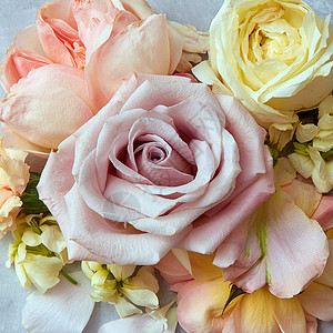 玫瑰花复古的颜色风格特写,为浪漫背景玫瑰花的复古颜色风格图片