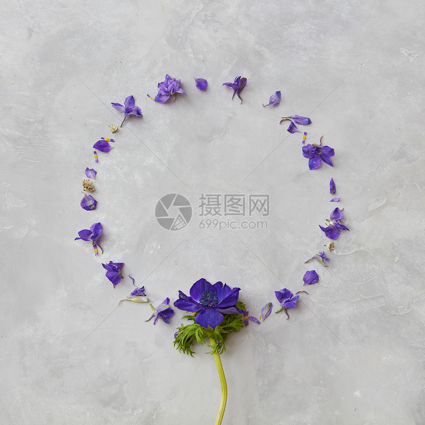 灰色背景上以圆圈的花的成美丽的构图可以用于明信片,来表达积极的情绪灰色背景上的花的构图图片