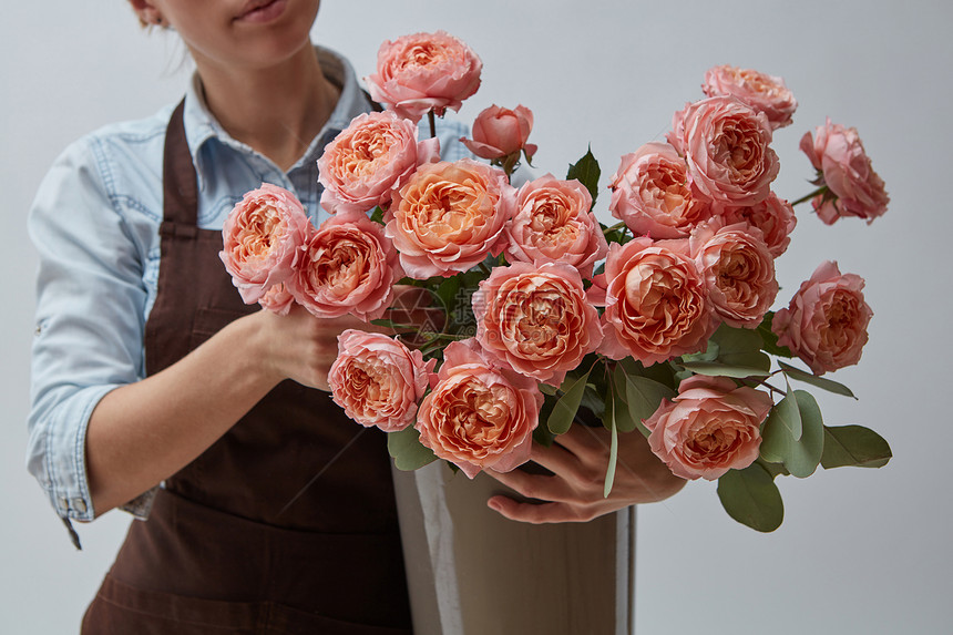 穿着棕色围裙的花店粉红色玫瑰花瓶女孩着花灰色的背景上女的手着个花瓶,花瓶上粉红色的玫瑰围绕着灰色的背景图片