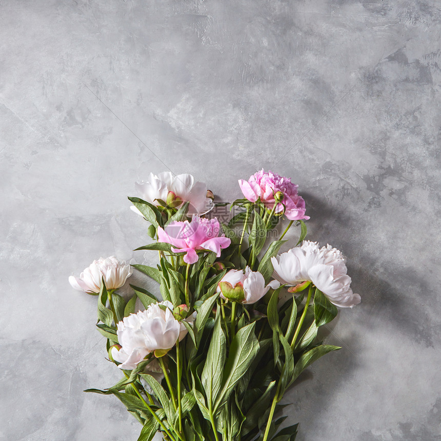 美丽的粉红色牡丹花,花蕾灰色的混凝土背景上,文字的母亲节礼物平躺粉红色牡丹,绿色的叶子花蕾灰色的图片