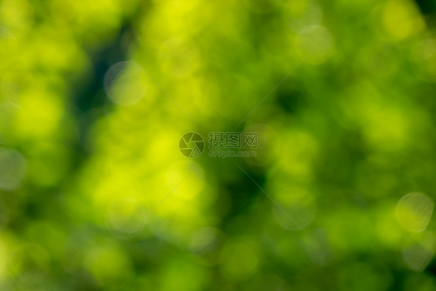 抽象的黄色绿色模糊的背景与Bokeh圆圈为您的想法创造明亮的布局模糊的背景绿色的创造的自然布局与博克圈图片
