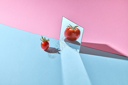粉色番茄个绿色茎的红色小番茄蓝色粉红色背景上的镜子中被大反射,成熟的番茄被反射个双粉蓝色纸板背景上的镜子中,文字的背景