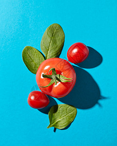 樱桃番茄蓝色番茄农业提出了平的高清图片