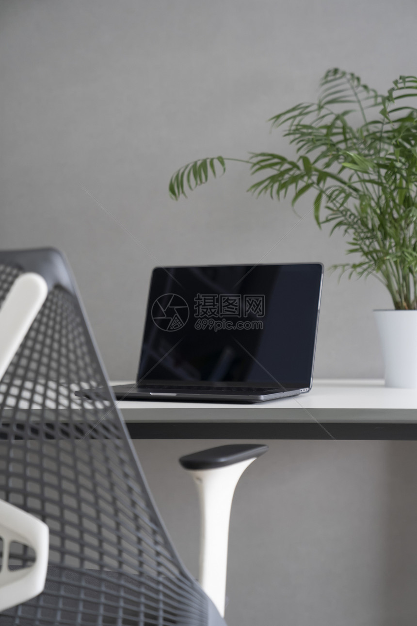 舒适的工作电脑桌,矫形椅自然日光新的现代笔记本电脑,黑色屏幕绿色花盆办公室桌子上绿色工作良好的人机图片