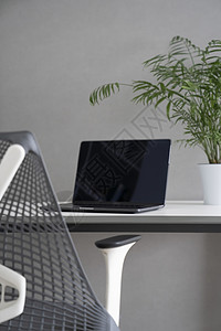 舒适的工作电脑桌,矫形椅自然日光新的现代笔记本电脑,黑色屏幕绿色花盆办公室桌子上绿色工作良好的人机背景图片