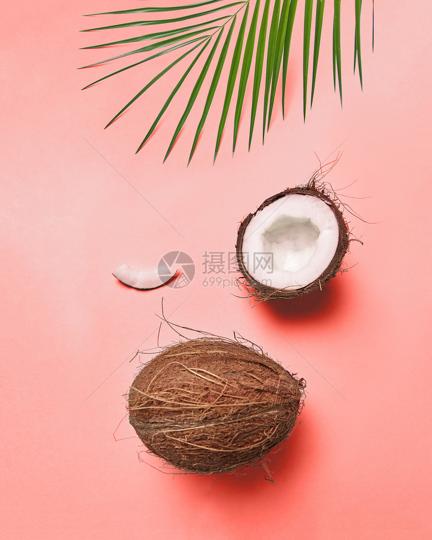 构图棕榈绿叶椰子的颜色背景的2019活珊瑚潘通与的文字创意布局为您的想法平躺机椰子绿色棕榈叶2019图片