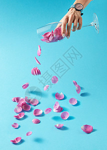 威斯特奇杰精致的粉红色玫瑰花瓣透明的璃中倾泻而出,女孩的手着手表天然产品中生产葡萄酒的女人的手手表正蓝色背景上的背景