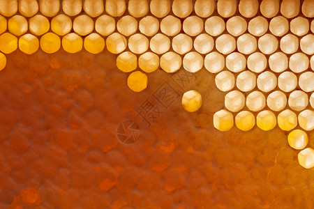 铝蜂窝板用新鲜机蜂蜜填充上蜡的蜂窝观照片下代网络生成蜡梳中的新鲜机蜂蜜机产品的观照片平躺背景