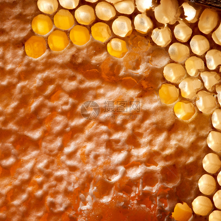 蜂窝中机蜂蜜的观照片网络生成的风景蜡蜂窝与机蜂蜜的观照片健康产品的风景图片