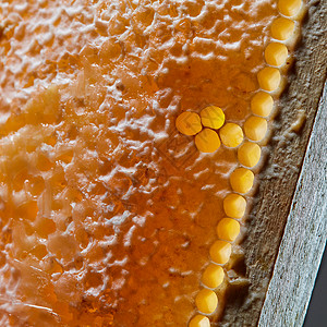 蜡蜂窝与机蜂蜜的观照片下代网络生成蜂窝中机蜂蜜的观照片健康的食物背景图片