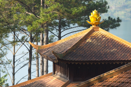 安禅逢卡车林禅寺达拉特,越南背景