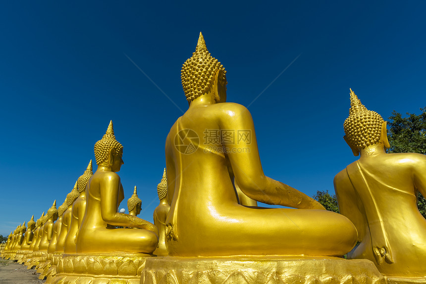湄公河寺庙里的大佛图片