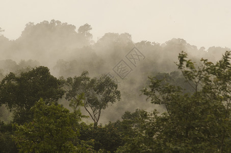 泰国热带雨林的景色图片