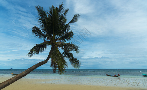 泰国的热带海滩图片