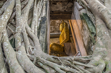 树根吸收废墟瓦邦功夫寺庙内,寺庙泰国高清图片