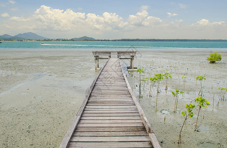 通往湖码头通往大海的木桥背景