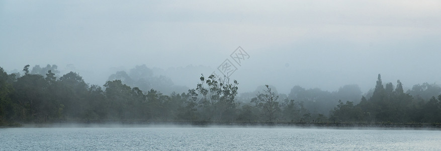 雾雨泰国热带雨林的景色背景