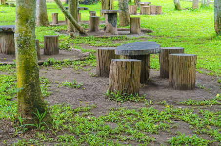 公园里的树桩座位,用木头的花园家具图片