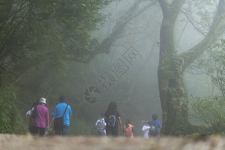 台湾台北阳明山公园自然步行道背景图片