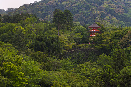 清水正孝东京清济寺附近的三层宝塔背景