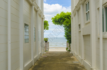 海景中的建筑物图片