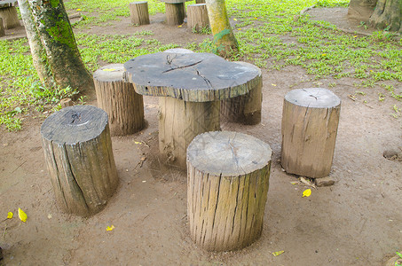 公园里的树桩座位图片