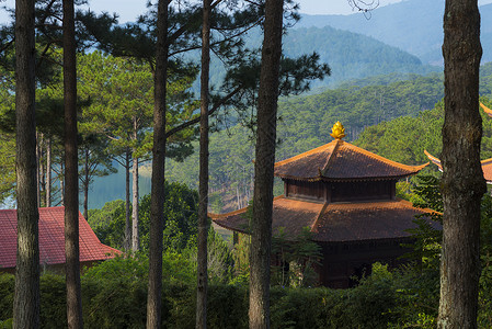 巴利语卡车林禅寺达拉特,越南背景
