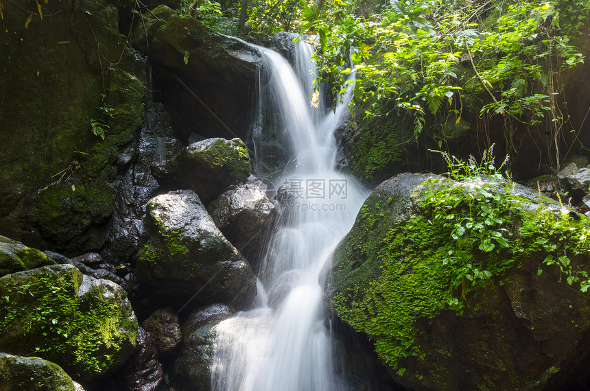 热带瀑布雨林中图片