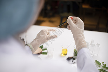科学家手握绿叶实验室的璃小杯里生物技术图片