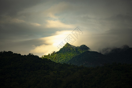 泰国森林景观观,热带森林图片