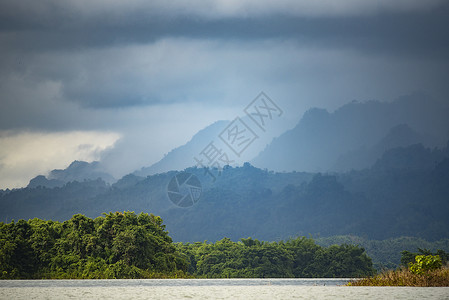 泰国森林景观观,热带森林图片
