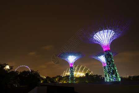 新加坡海湾花园图片