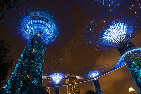 新加坡,夜间海湾花园图片