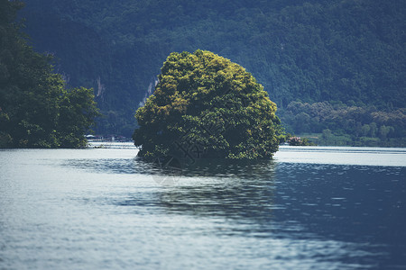 泰国湖泊热带森林景观图片