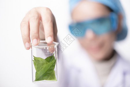 医生,女科学家,实验室用草药叶,维生素补充剂,矿物质替代治疗研究图片