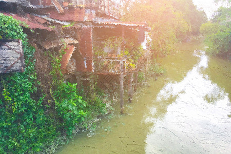 自然湖林,油画形象图片