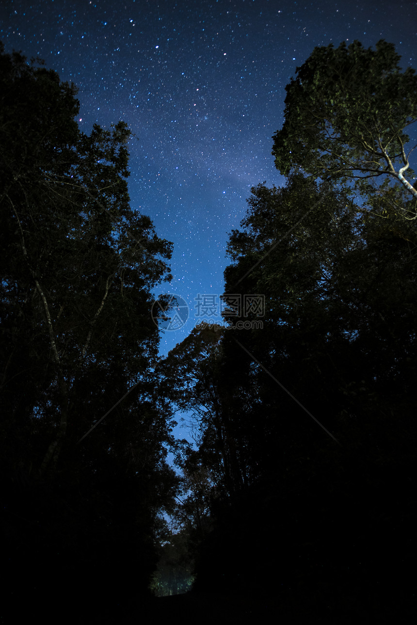 美丽的夜空,银河树木图片