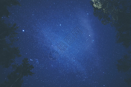 树蓝天,星星银河图片