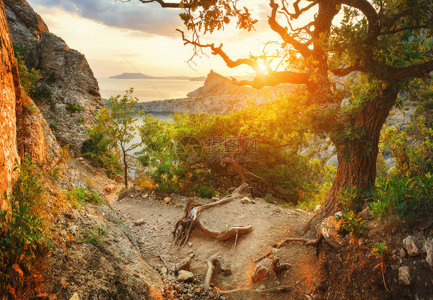 日出山林夏天美丽的五颜六色的风景克里米亚阳光明媚的早晨图片