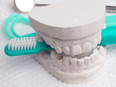 口腔卫生健康理念特写蓝色牙刷镜舌头清洁剂与牙科石膏模型图片