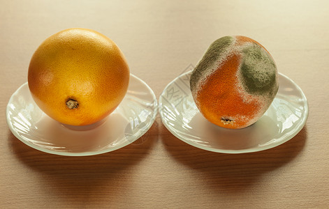 发霉的素材木桌上盘子里成熟发霉的葡萄皮健康水果腐烂水果的区别机食品营养背景