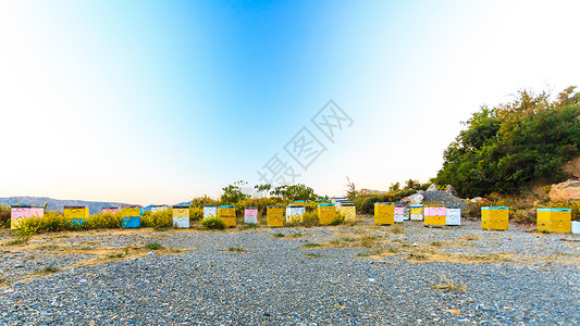 蜂巢,蜜蜂家庭农场沃登希腊海岸线上自然,旅行,食物蜂巢农场图片