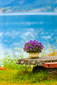 旅游度假旅游宁静的风景,休息的地方桌子上花峡湾海岸,奥登村索格峡湾县,挪威欧洲休息的地方挪威峡湾海岸背景