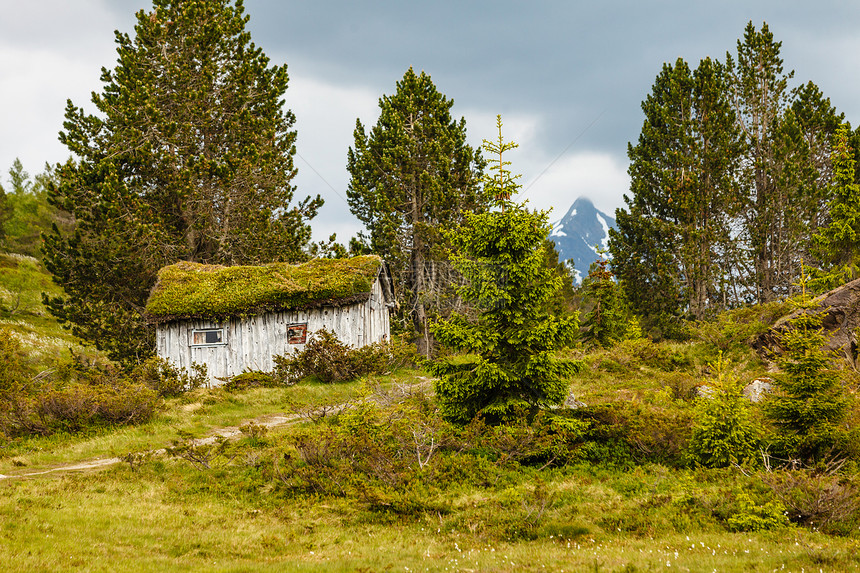 挪威青山屋顶上草的旧木屋海特斯堪的纳维亚挪威美丽的风景挪威森林里的旧木屋图片