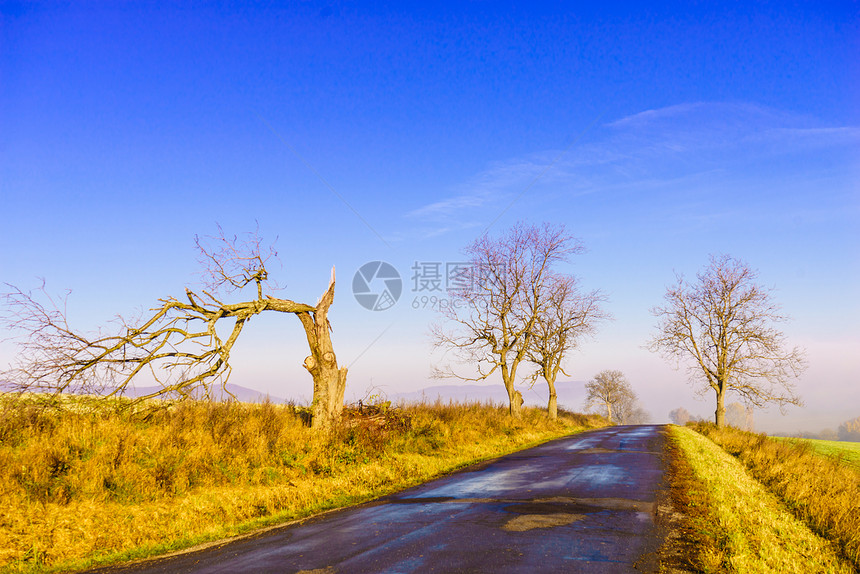 秋天的风景乡村沥青路秋天的晴天乡村道路秋天的晴天图片